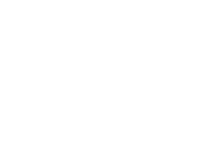 ElektroMeister Christian Reifenstein